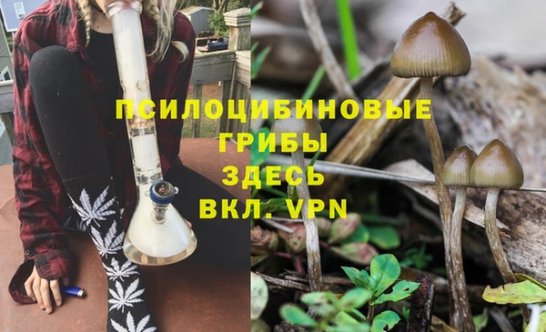 молекула духа Аркадак