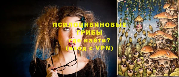 молекула духа Аркадак