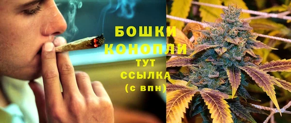 молекула духа Аркадак