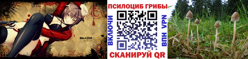 купить  цена  mega онион  Галлюциногенные грибы GOLDEN TEACHER  Рыбное 